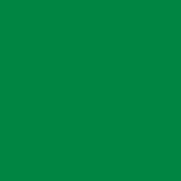 lclynch17